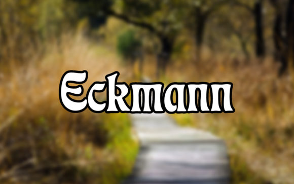 Eckmann Serif Font: A Designerโs Real-World Test