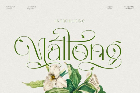 Mallong: An Elegant Serif Typeface for Editorial Design